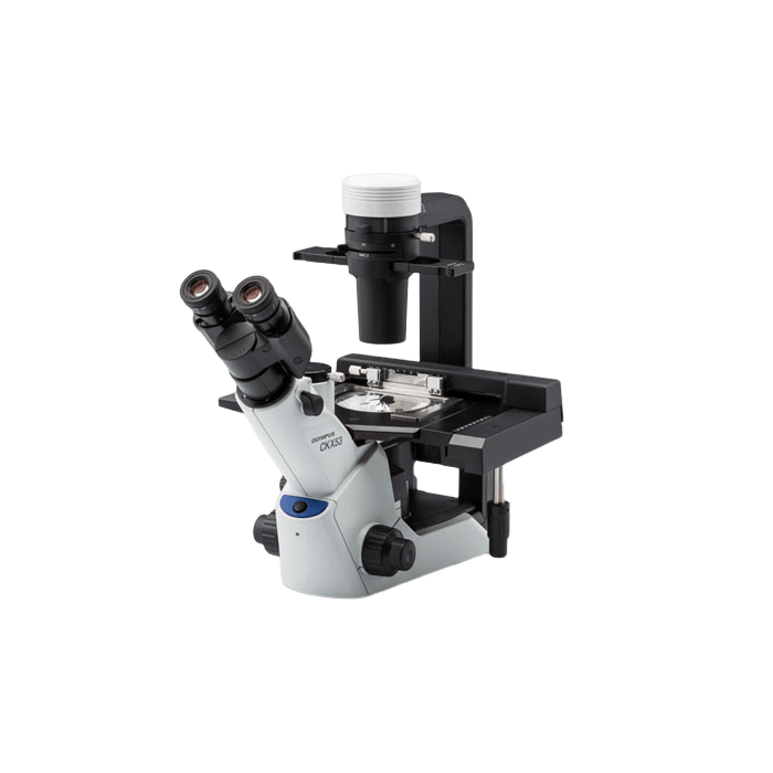 奧林巴斯 Olympus CKX53 倒置顯微鏡